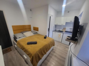 Lemuria Studio Łokietka, Legnica